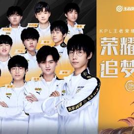 的应对能力 的应对能力