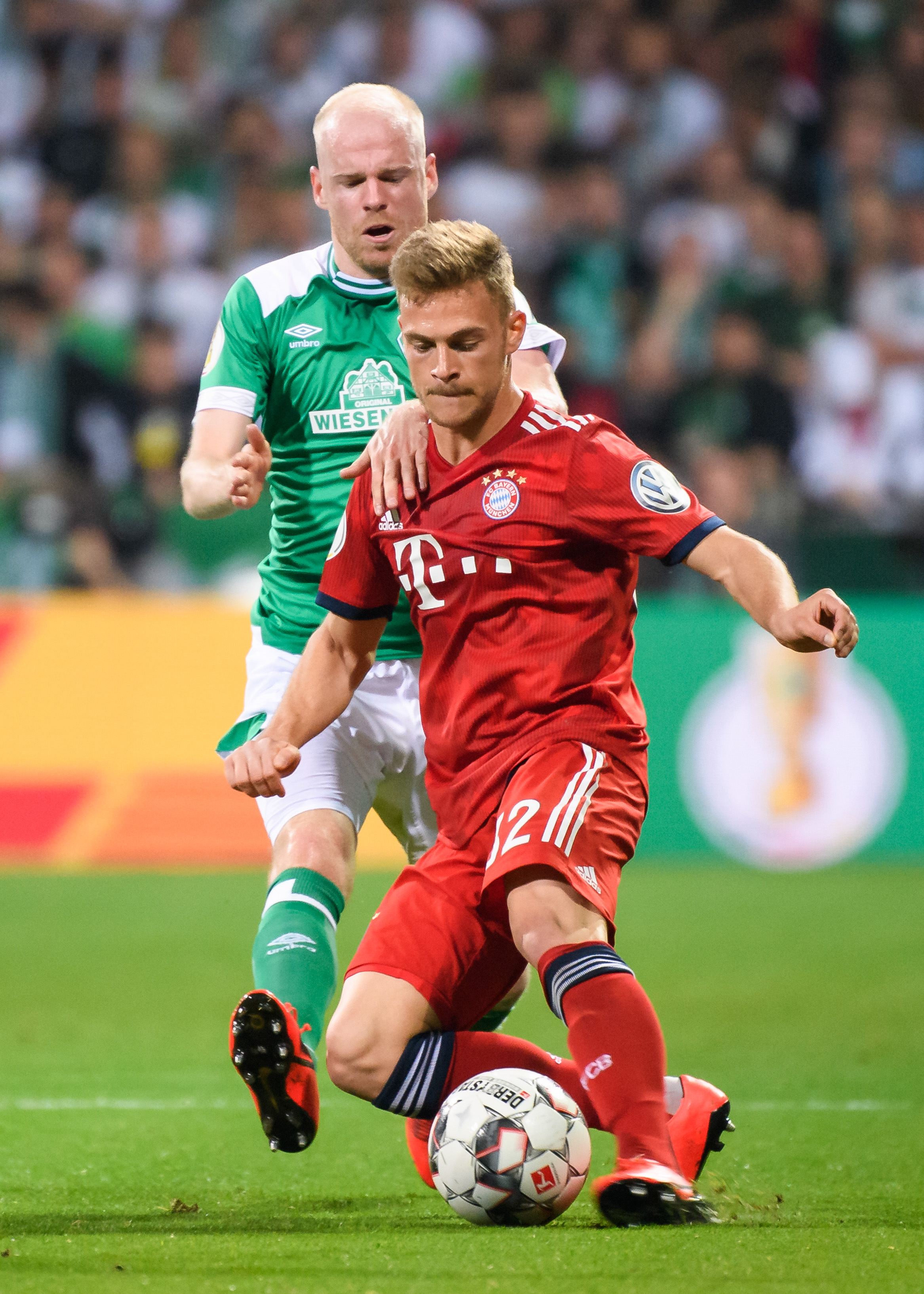 参与多粒进 参与多粒进