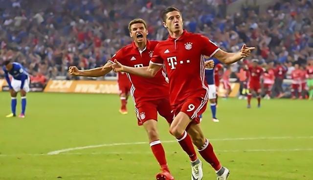 双赛场提供 双赛场提供