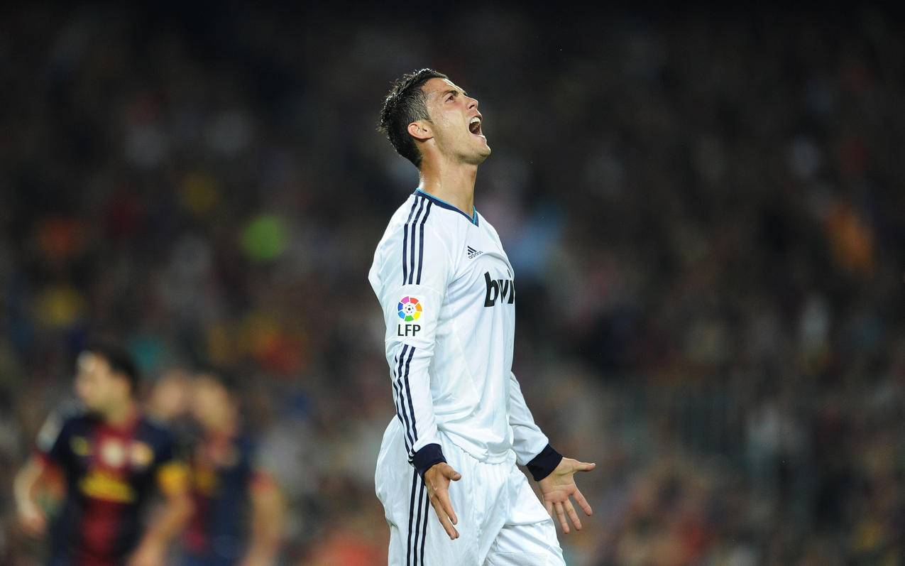 后再回馈国 后再回馈国